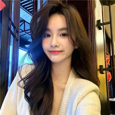 条顿骑士团的骑士